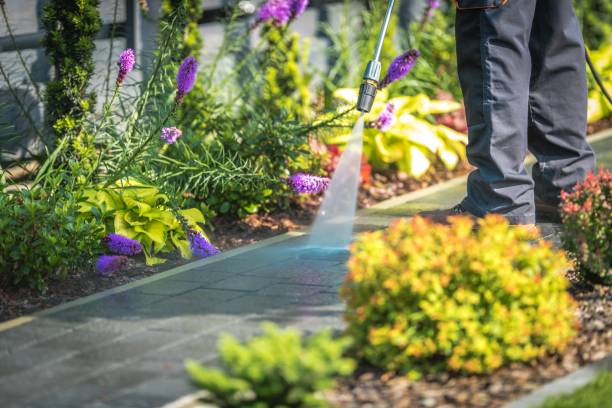 Best Sidewalk and Walkway Cleaning  in South River, NJ